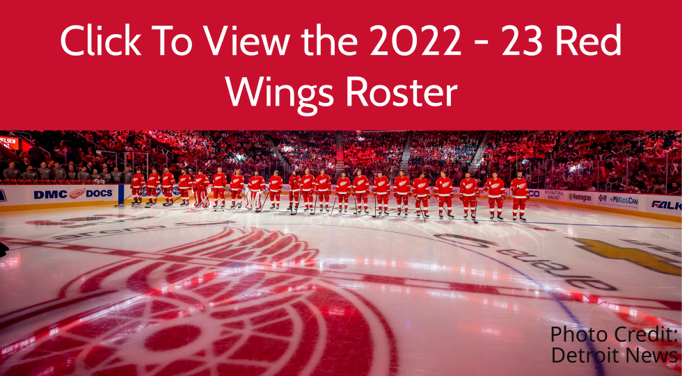 Detriot Red Wings Guide